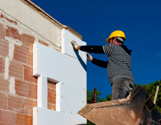 Best Professional Insulation Contractor  in Walworth, WI