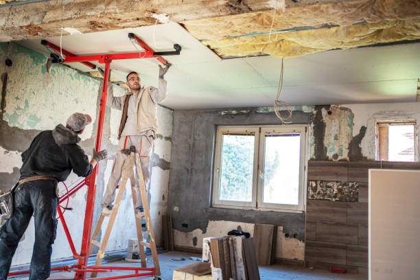 Best Wall Insulation Contractor  in Walworth, WI