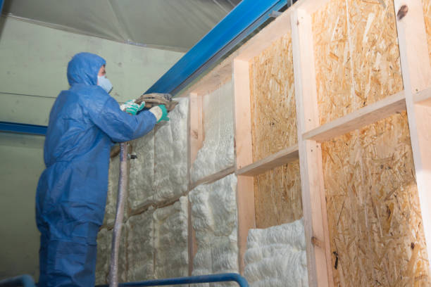 Best Blown-in Insulation  in Walworth, WI