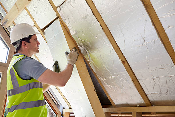 Best Cellulose Insulation  in Walworth, WI